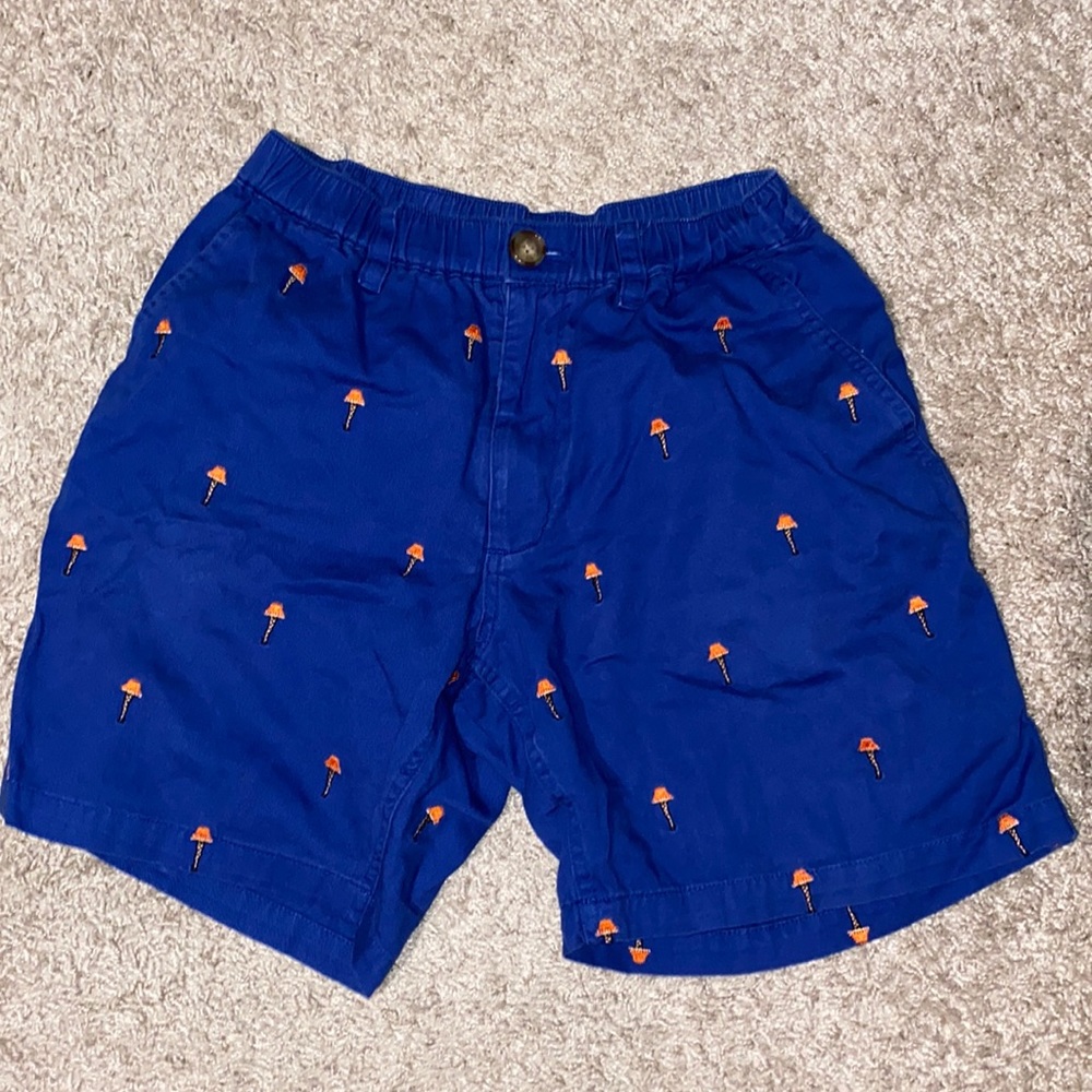 Chubbies shorts